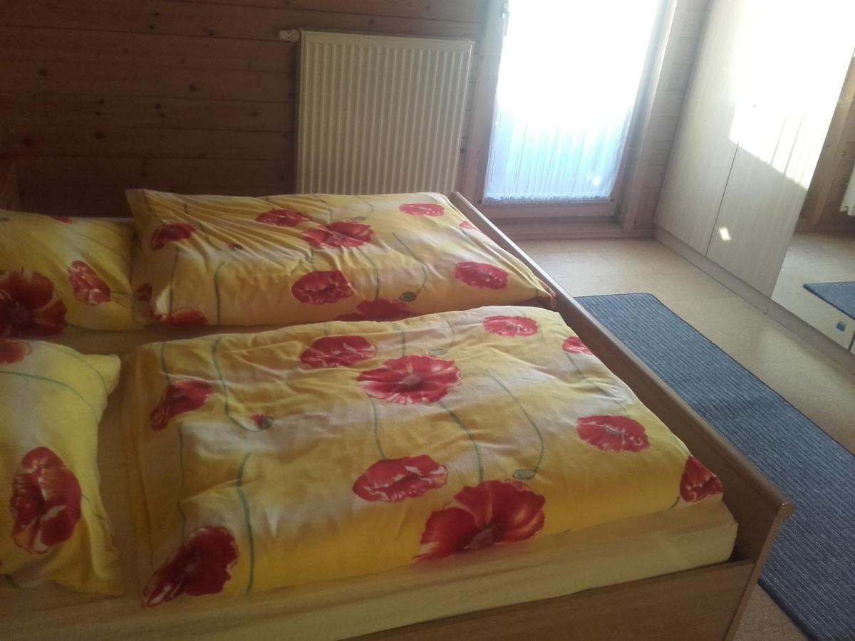 Haus Melanie Villa Hohenau Kültér fotó